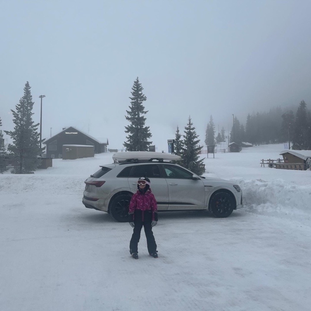 Smidig takbox med eller utan takräcke