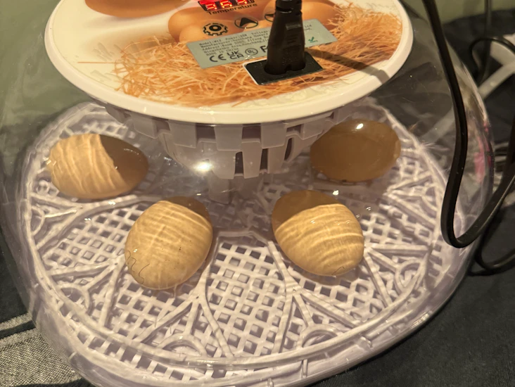 Automatisk rugemaskin