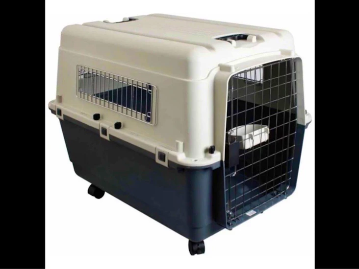 Xl flygbur / transportbur för husdjur