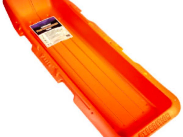 Paris ekspedisjonspulk