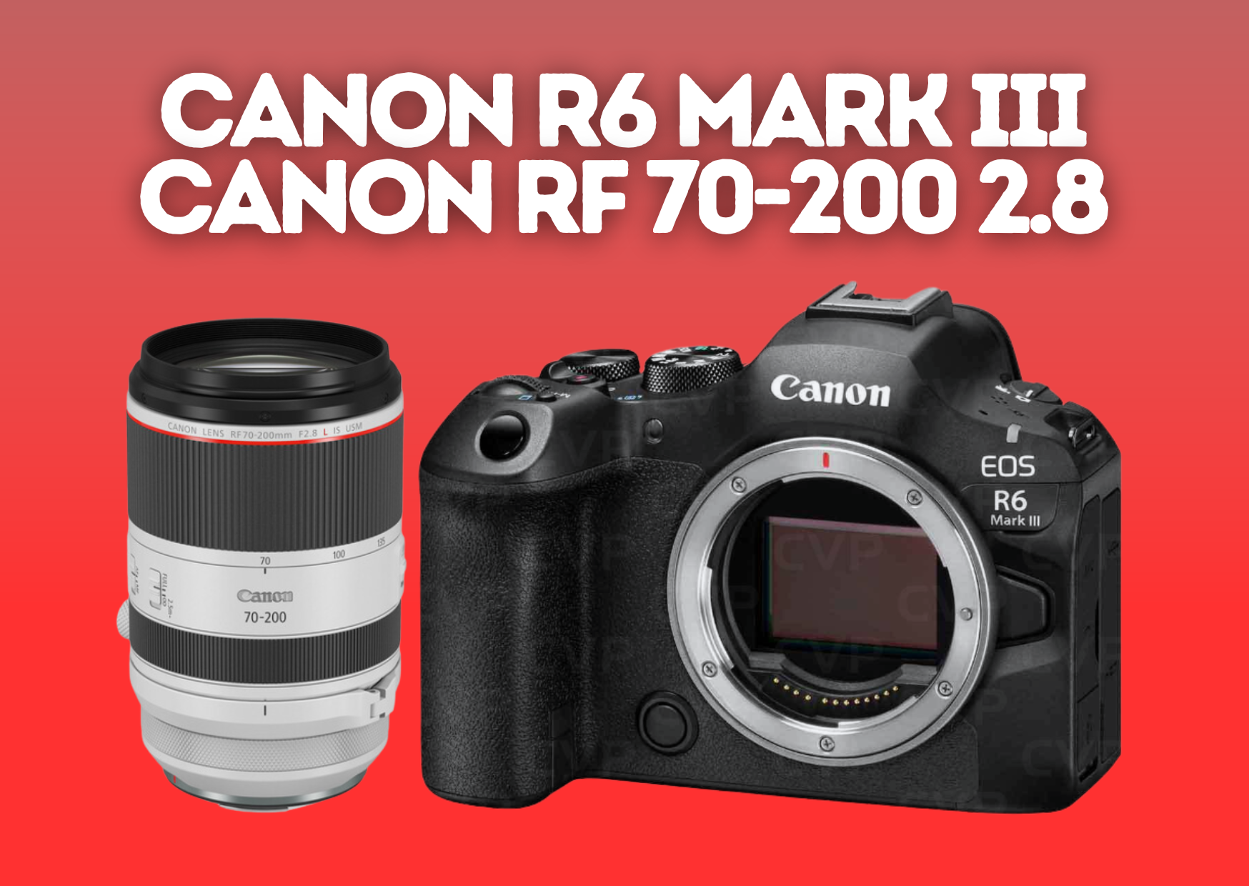 Canon r6 iii + 70-200mm f2.8