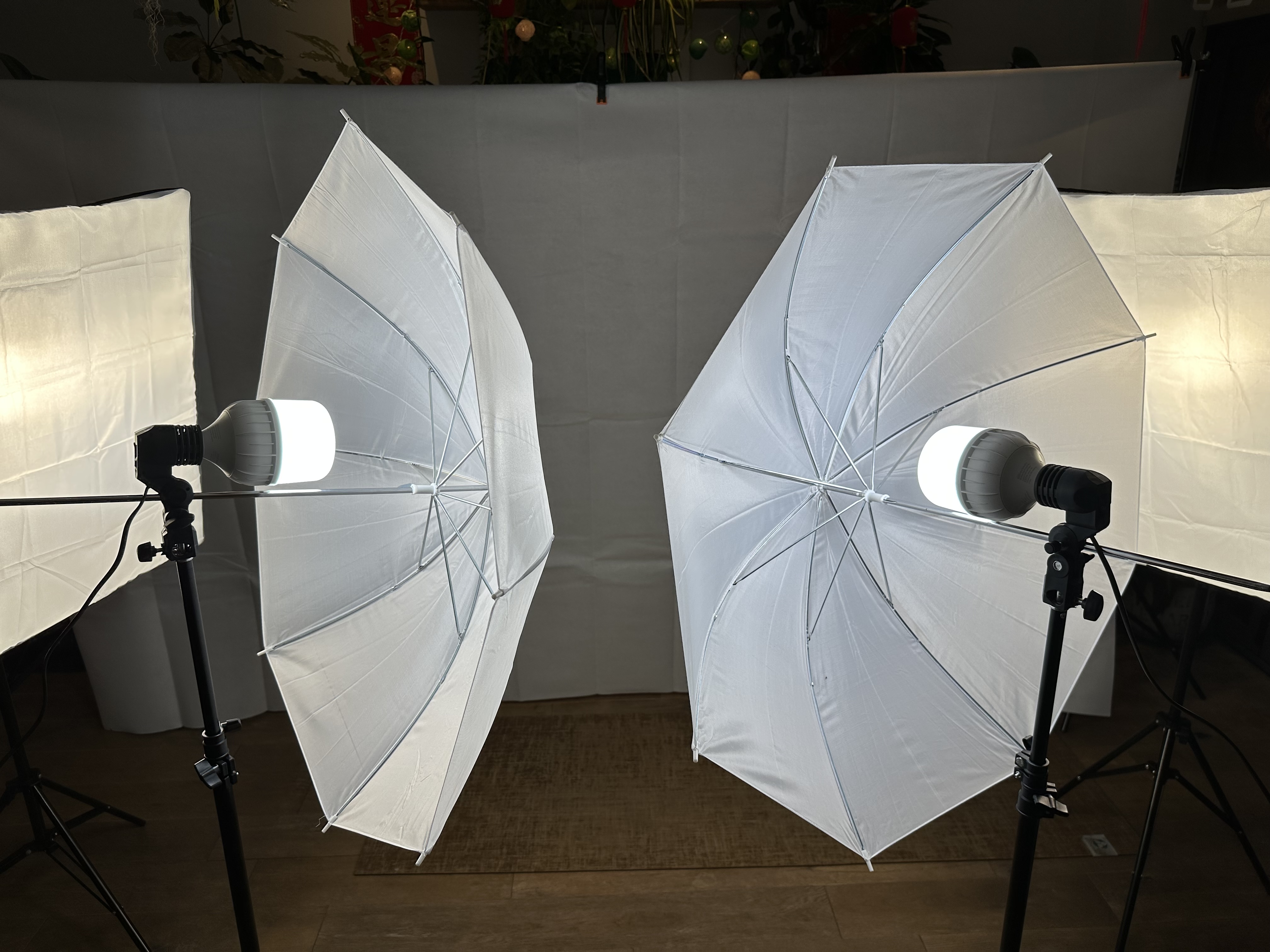 2 x soft boxes, 2 x umbrellas, led 5500k, lightweight goalpost set up, reflector