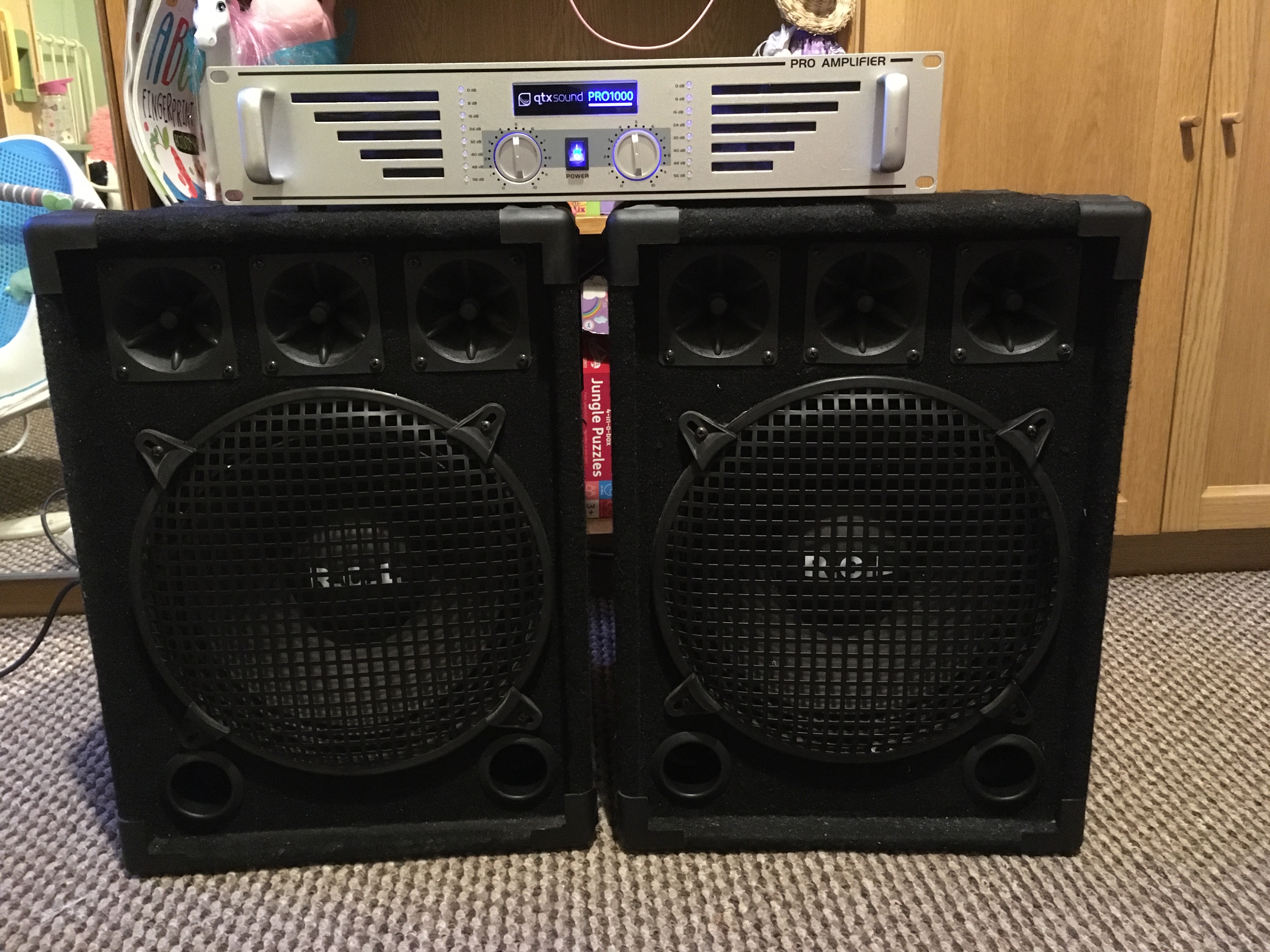 Large 2x 300w rcl speaker and 1000w amp