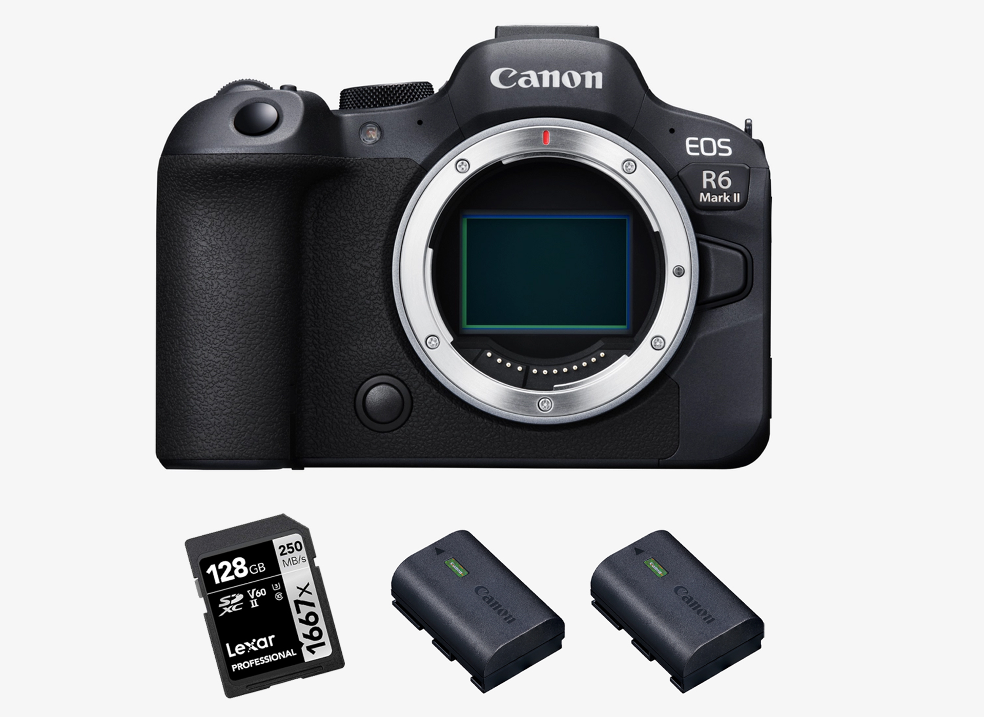 Canon eos r6 ii