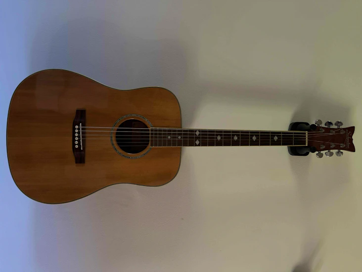 Schecter diamond series sw-1000 (made in korea)