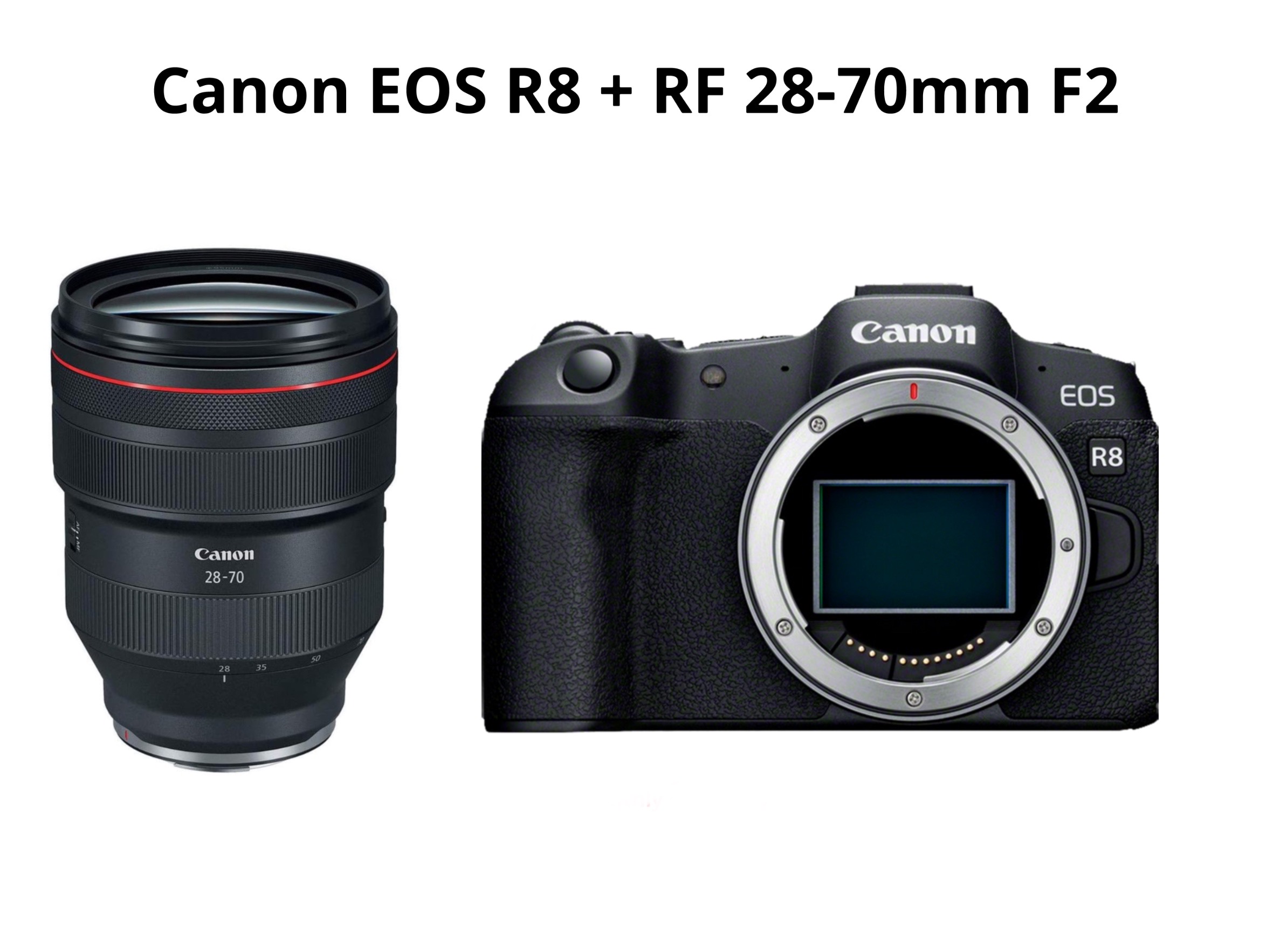 Canon r8 + rf 28-70mm f2