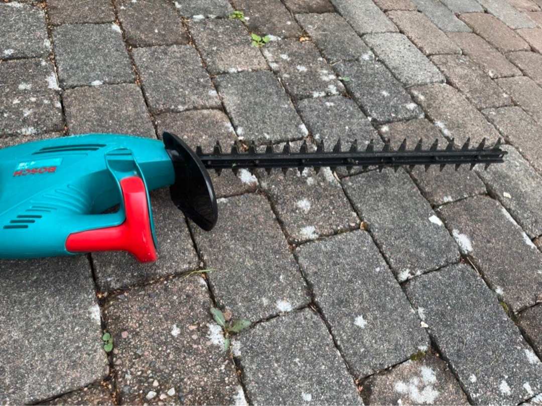 Bosch häcksax