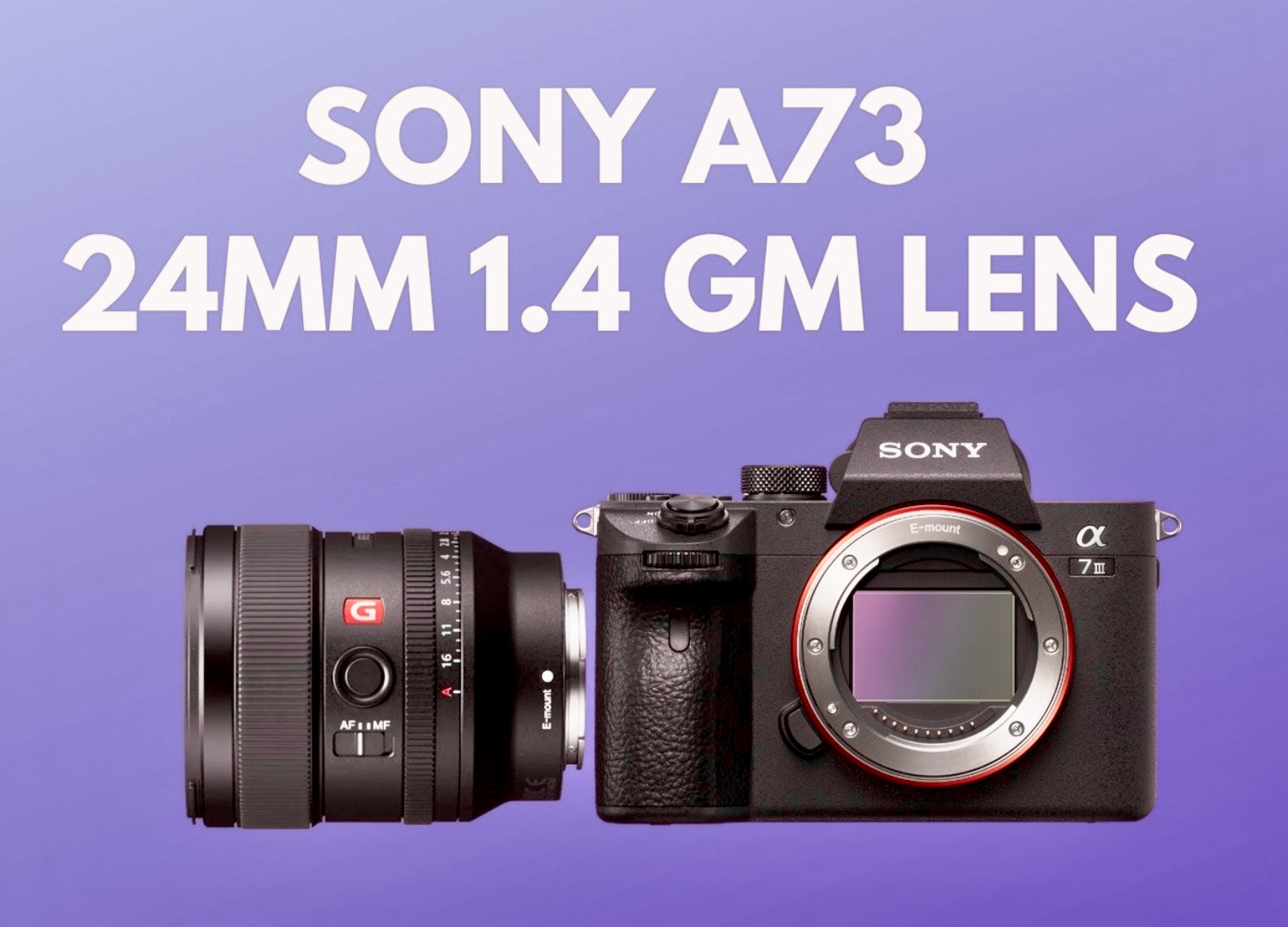 Sony a7iii camera & sony 24mm f/1.4 gm lens