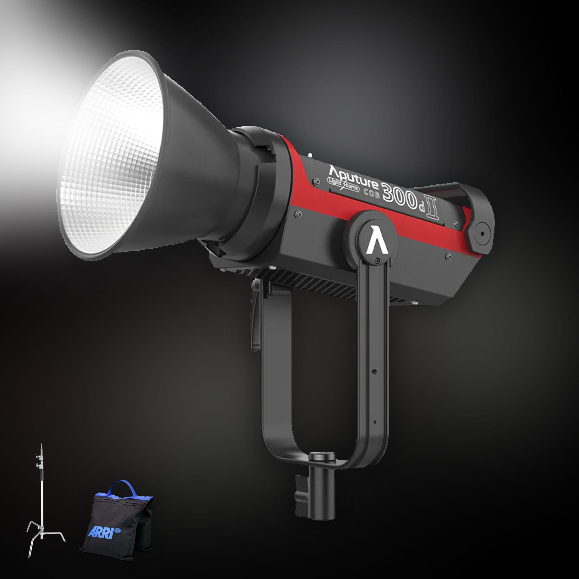 Aputure 300d mkii with a modifier