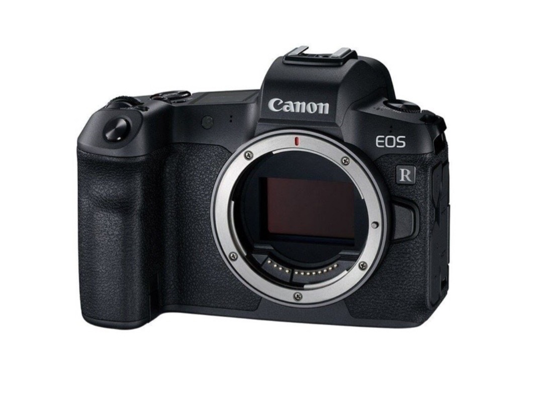 Canon r+rf 50mm/1.8 + er/rf ring + zhiyun w s