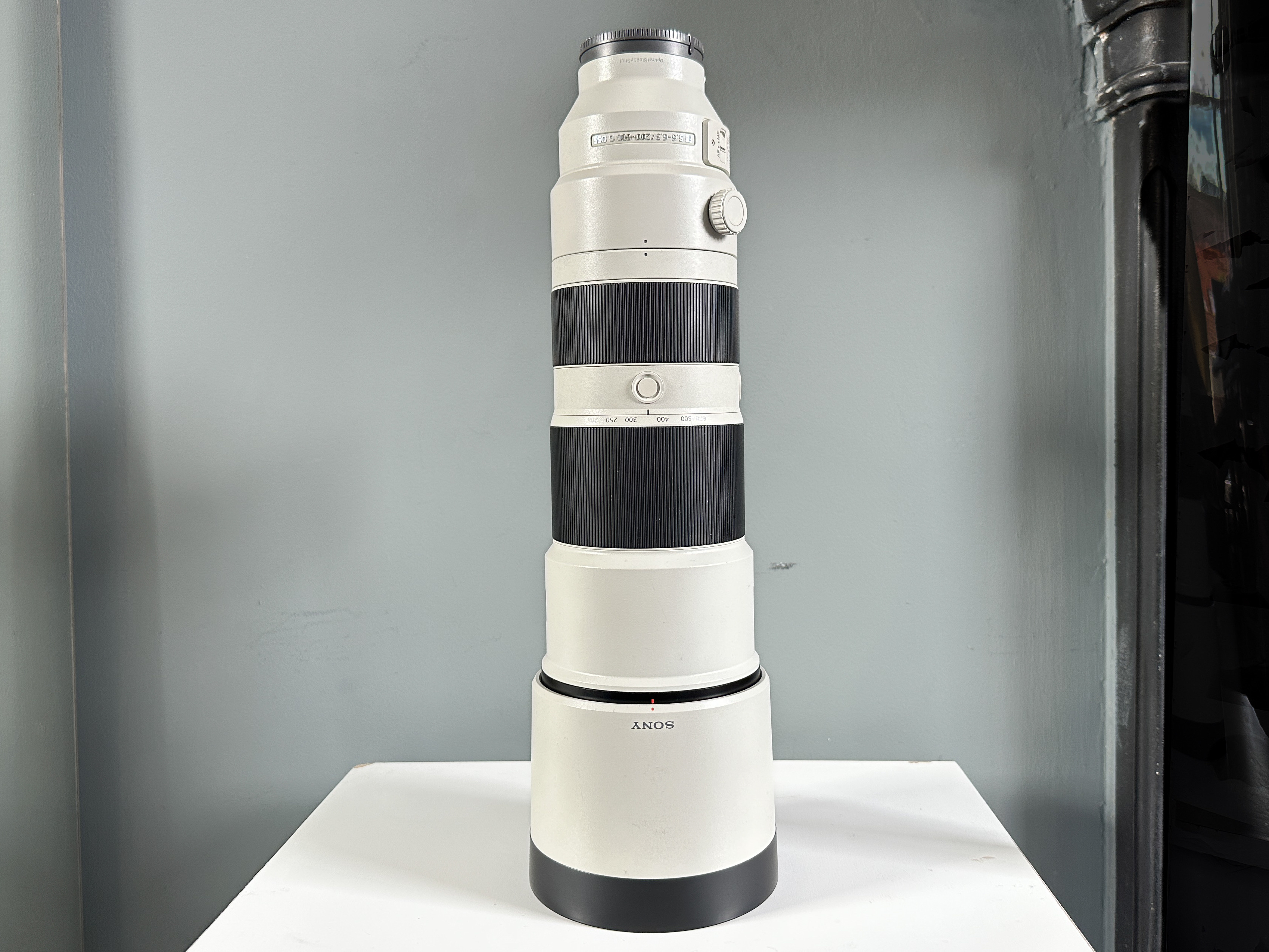 Sony 200-600 super telephoto
