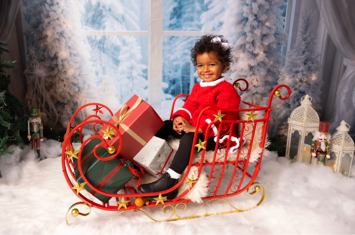 Xmas props - santa sleigh