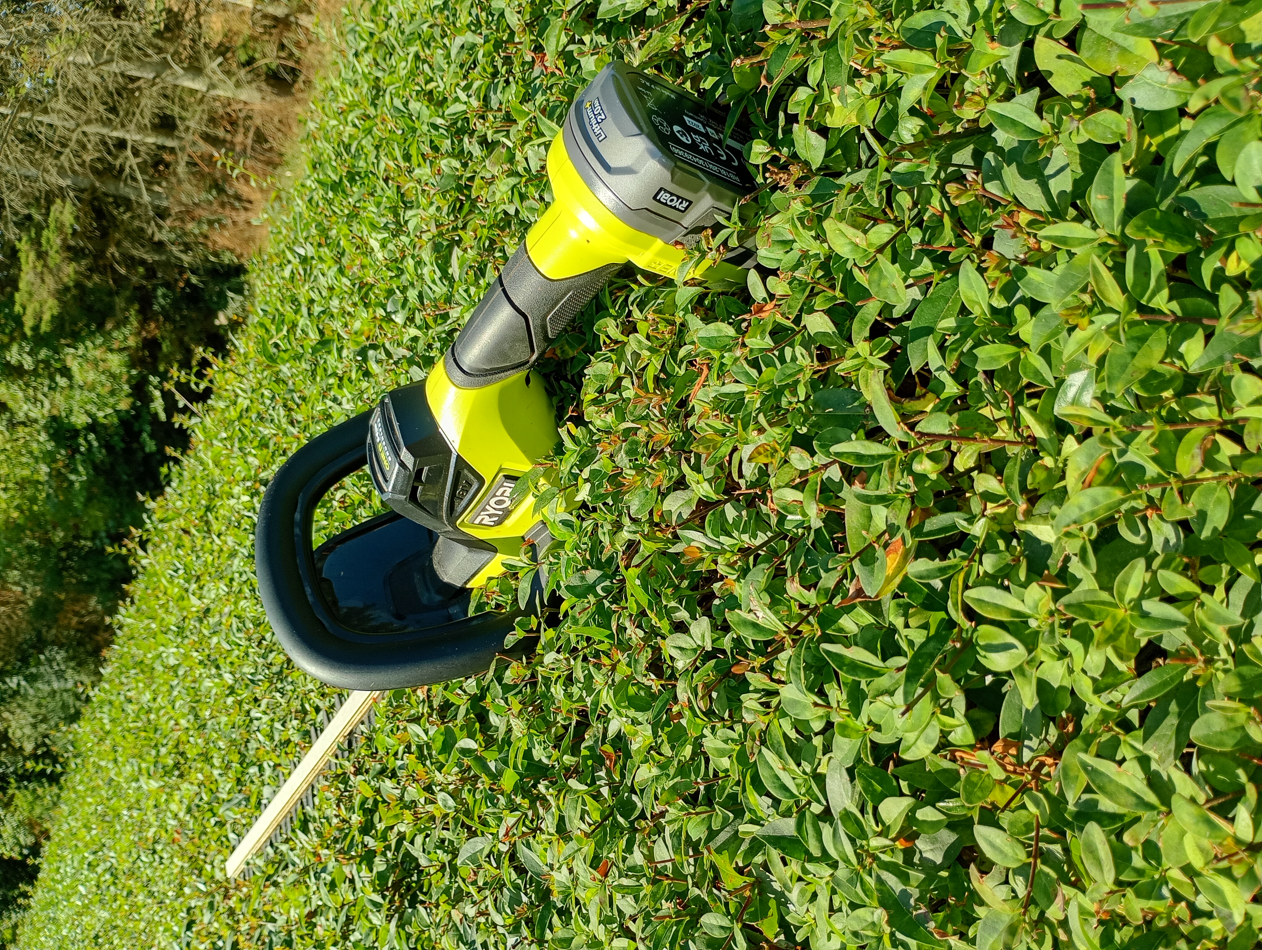 Häcksax ryobi one +