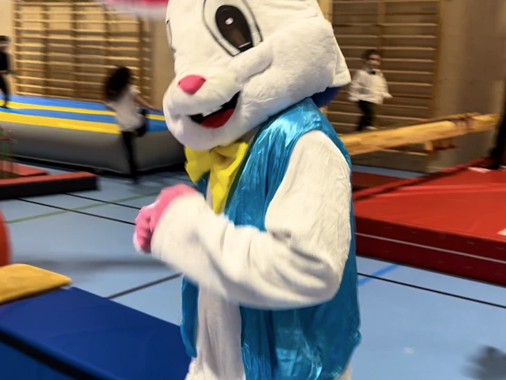 Kanin dräkt utklädnad, maskot