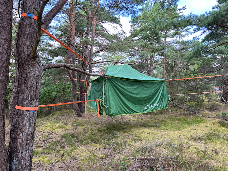 Trädtält för upp till sex personer