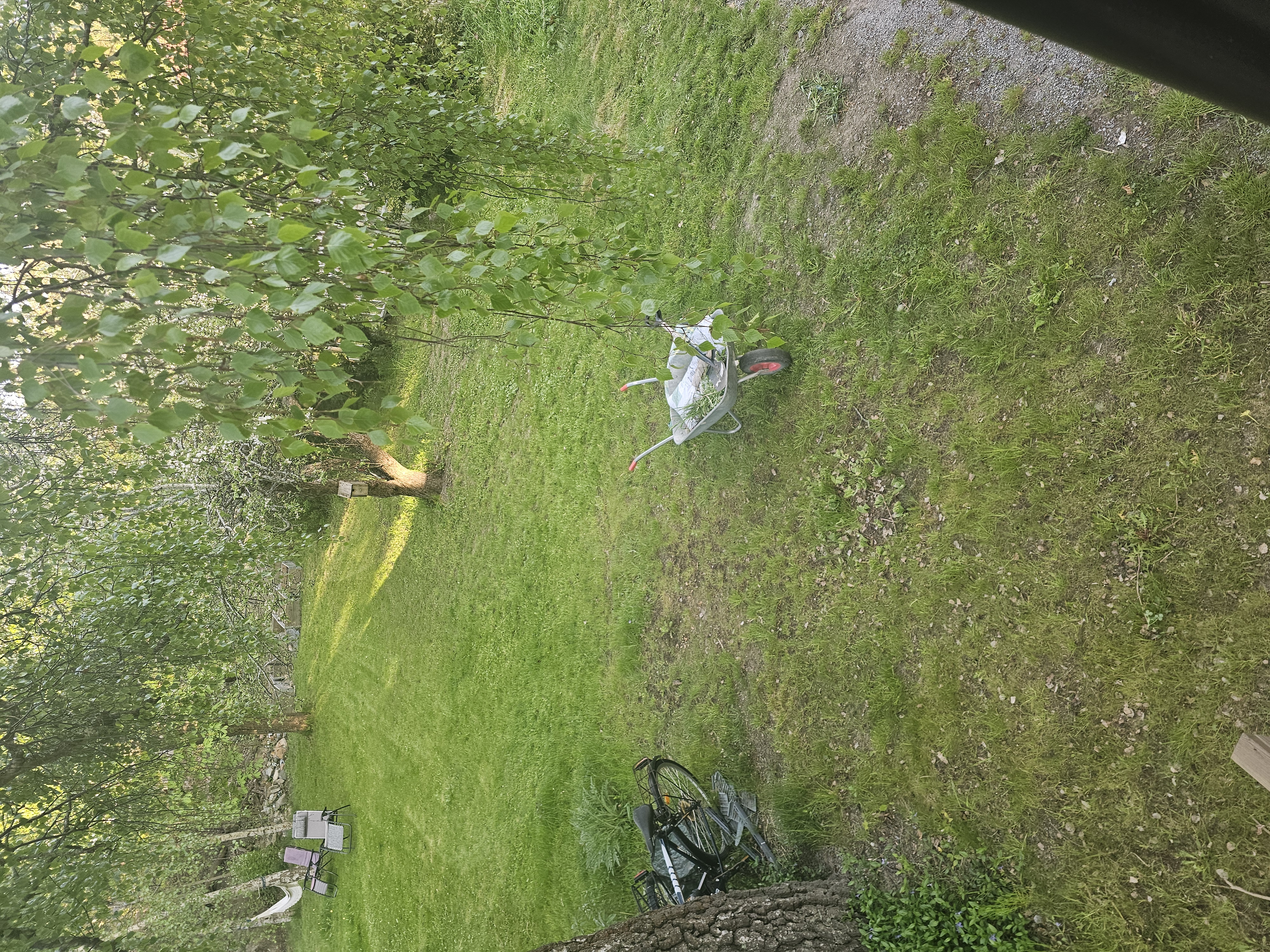 Stor trädgård att hyra