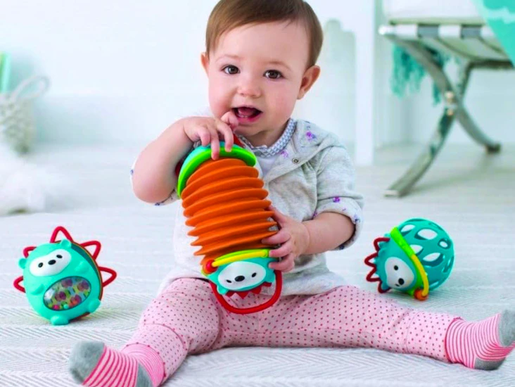 Skip hop hedgehog accordian (2 instruments) baby musical toy