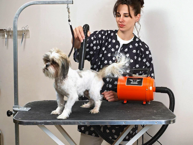 Utleie av hundeblåser / føner