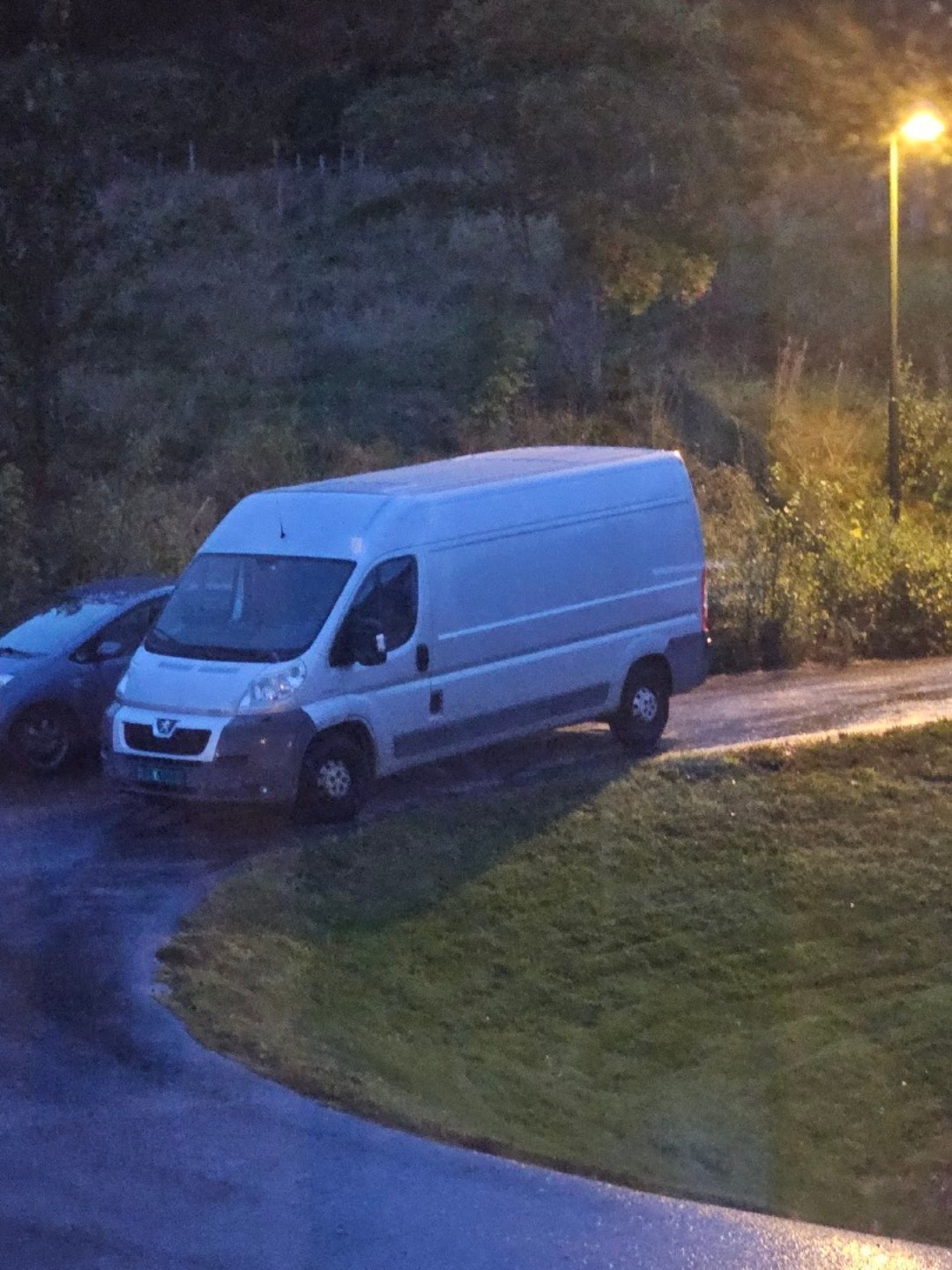 Stor varebil