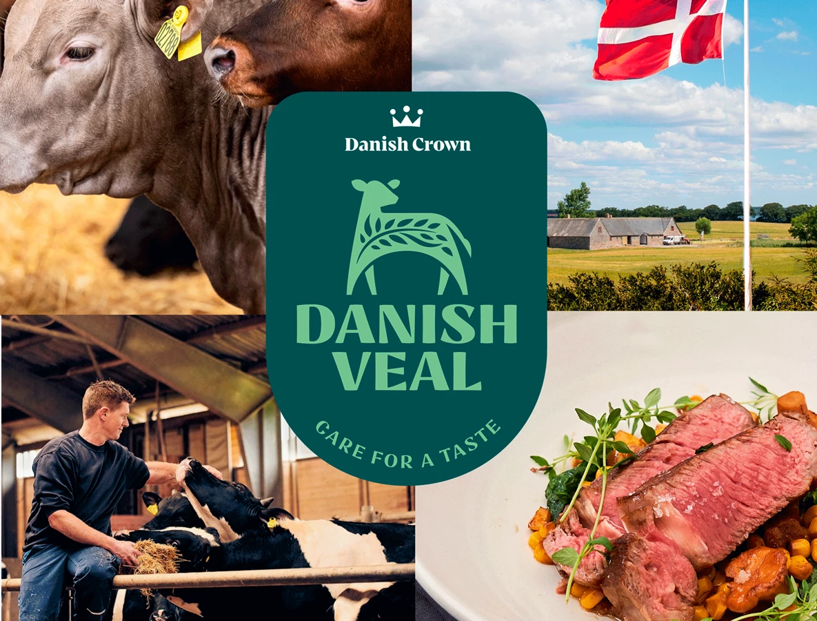 Samsung projetor 1600 ansi lumen