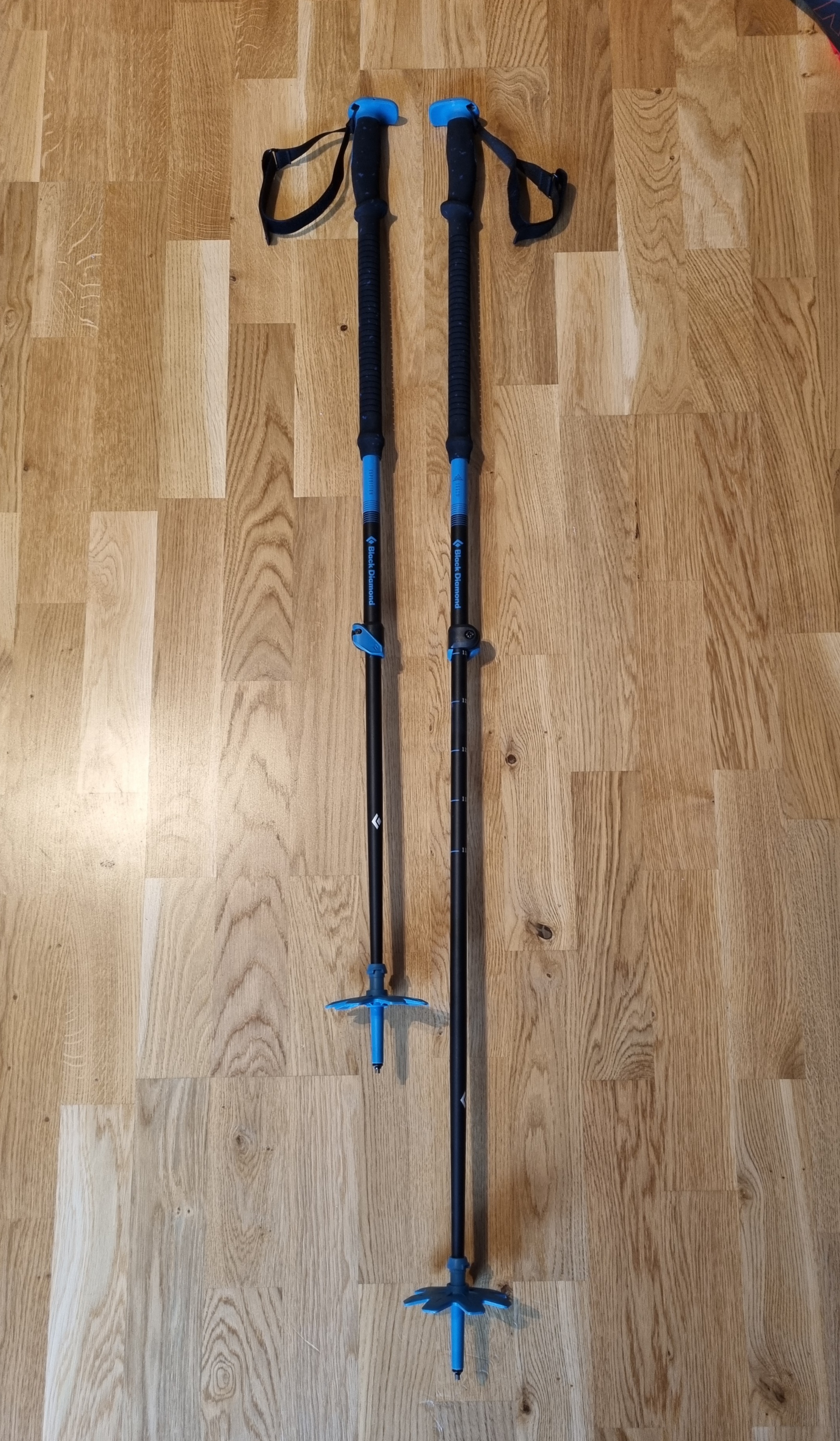 Teleskopiska skid- och vandringsstavar med stora trugor