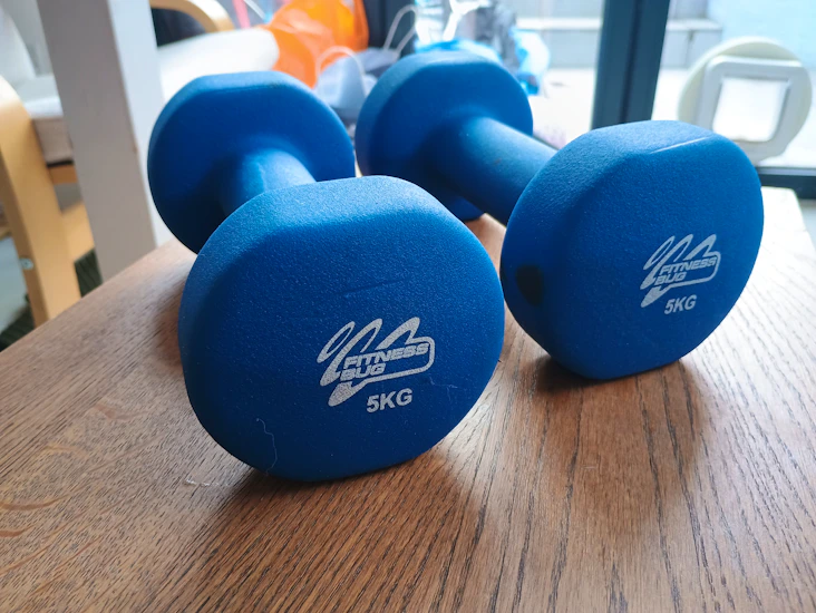 Pair of 5kg dumbbells