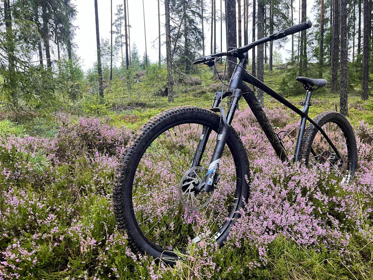 Active flow 11 hardtail xl