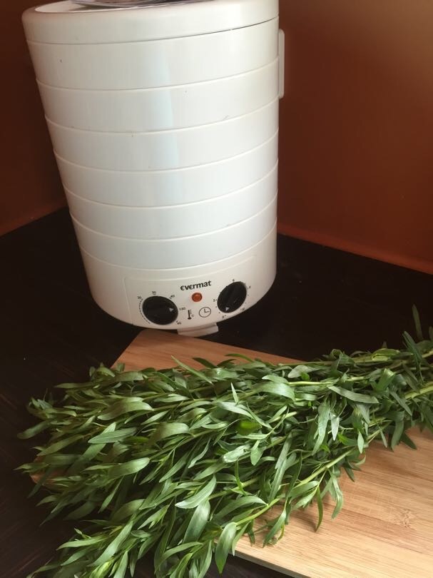 Torkmaskin - evermat