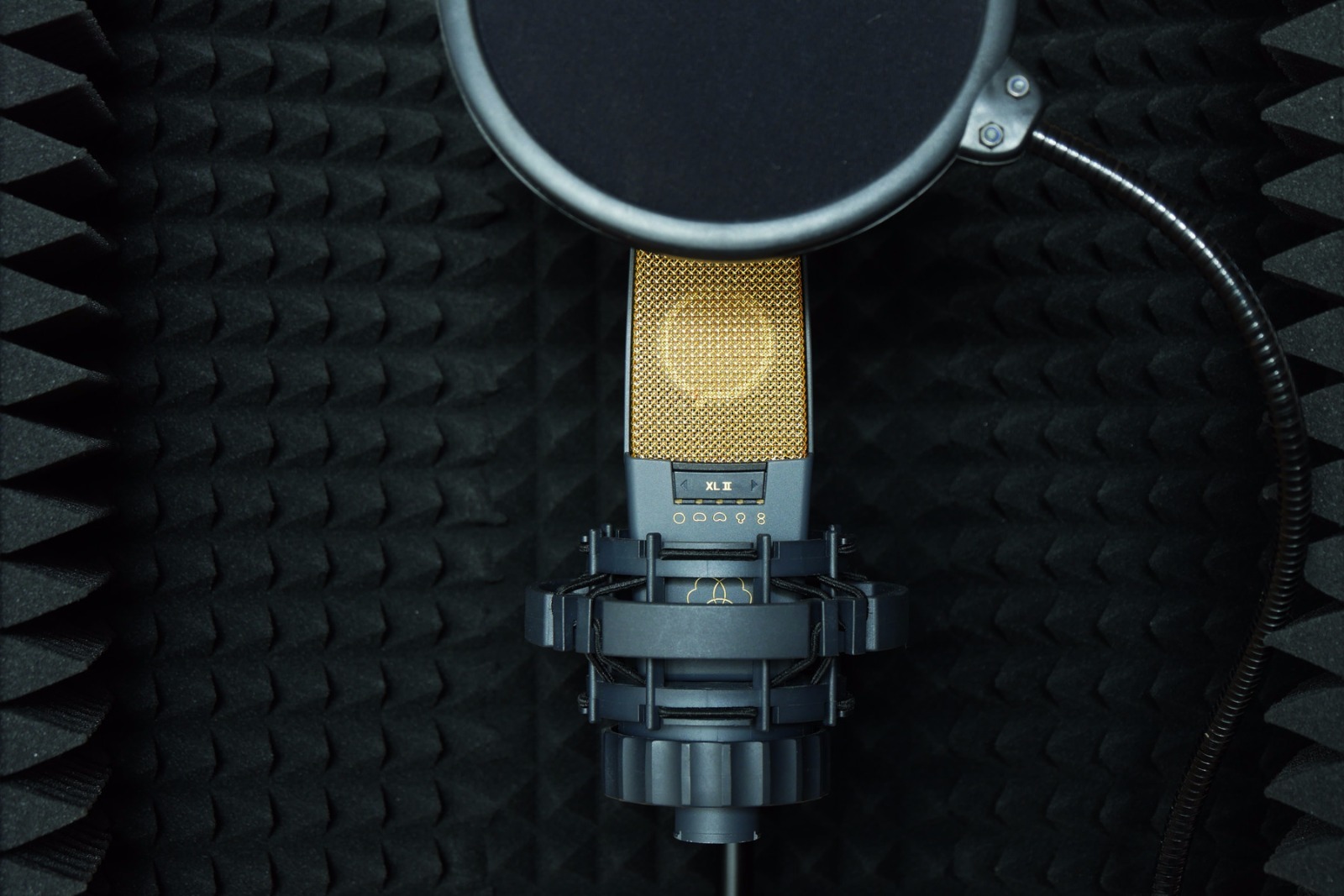 Akg 414 xii with wind/pop filter podcast