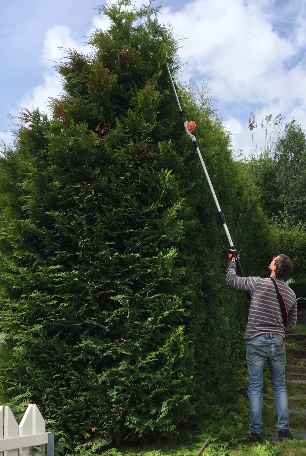 Stihl hla 85. proff batterihekksaks, teleskop