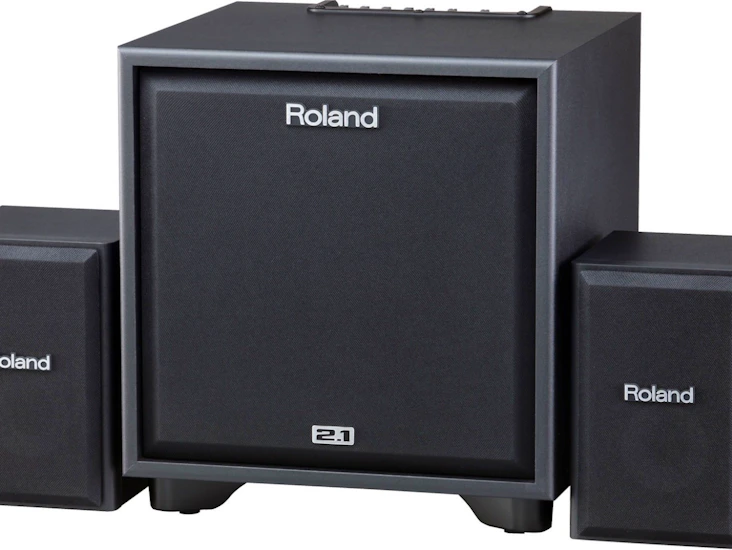 Pa-anlegg, 2.1 roland cube cm-220