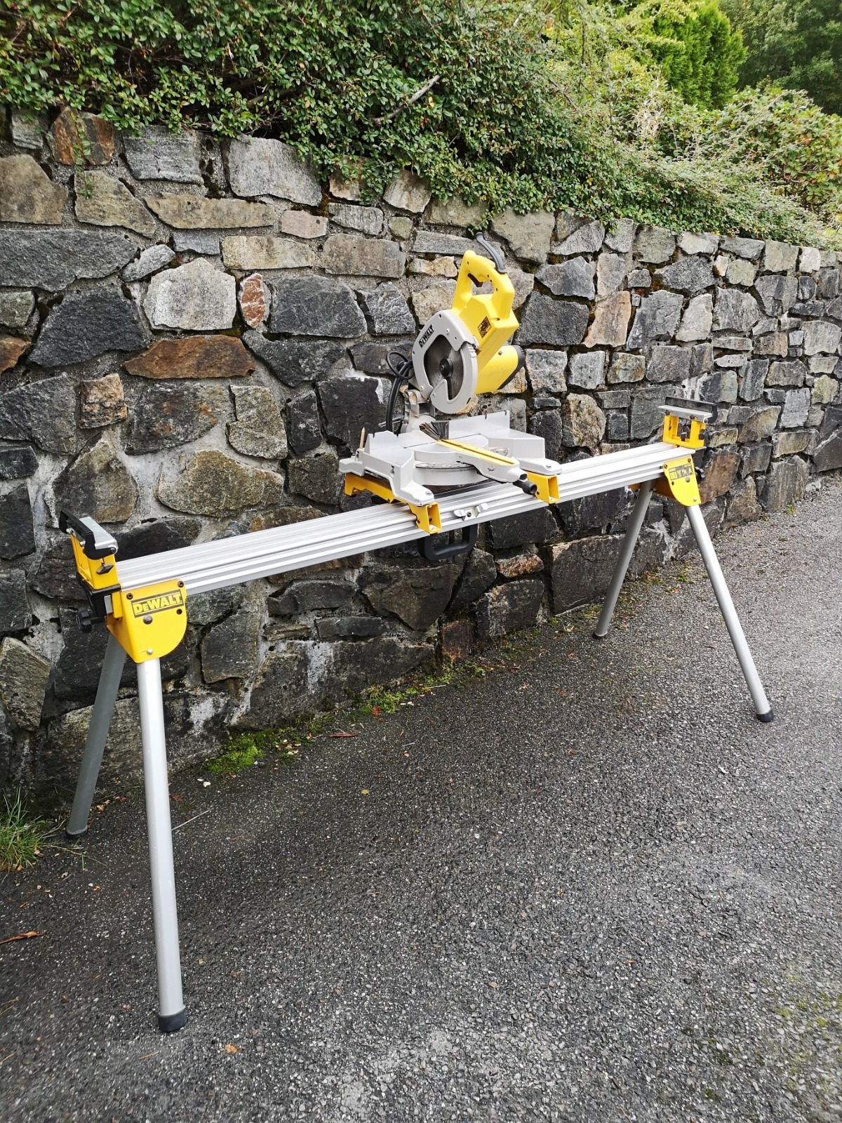 Gjærsag